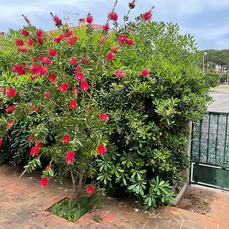 Apartamento Magnifique T2 Au Calme à 4 Minutes à Pied De La Saint-Cyprien (Pyrenees-Orientales)