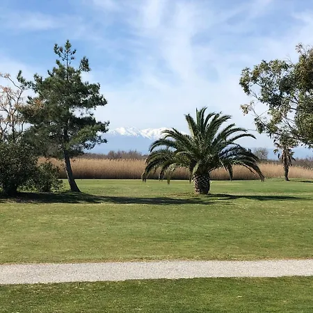 Magnifique T2 Au Calme à 4 Minutes à Pied De La * Saint-Cyprien (Pyrenees-Orientales)