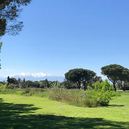 Magnifique T2 Au Calme à 4 Minutes à Pied De La Saint-Cyprien (Pyrenees-Orientales)